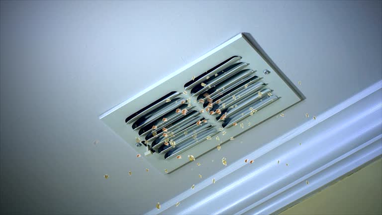 Best Affordable Air Duct Cleaning  in Alpine, CA
