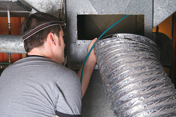 Best Home Air Vent Cleaning  in Alpine, CA