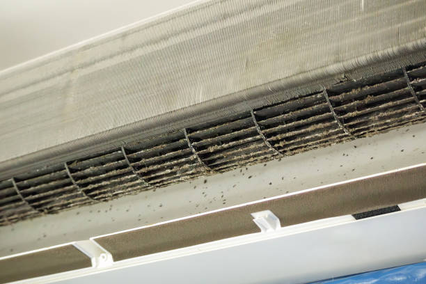 Best Duct Cleaning for Homes  in Alpine, CA